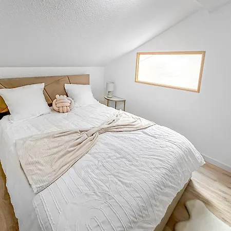 公寓 Le Toit Du Centre-ville 伊泽尔河畔的罗曼